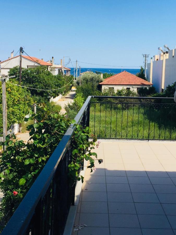 ארטמידה Rose'S Place מראה חיצוני תמונה
