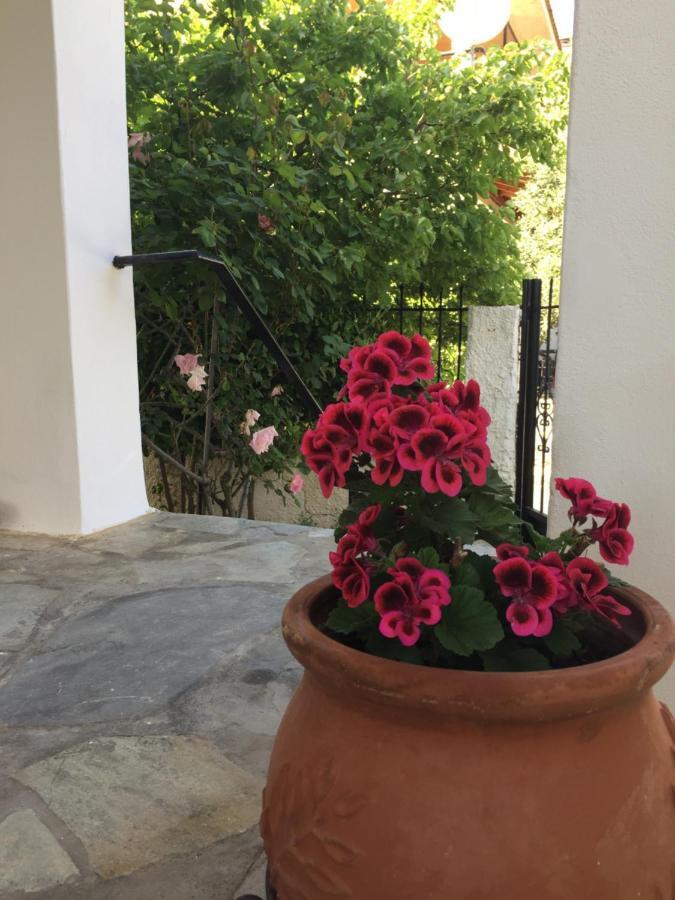 ארטמידה Rose'S Place מראה חיצוני תמונה