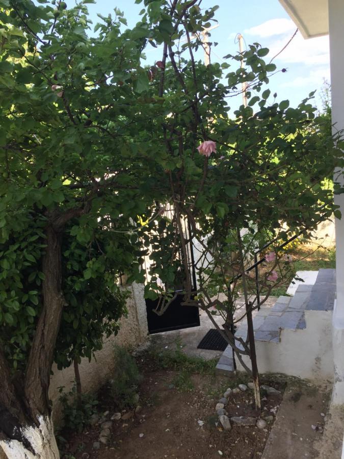 ארטמידה Rose'S Place מראה חיצוני תמונה